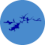 Society for Fractones